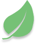 Illustration vectorielle d'une feuille